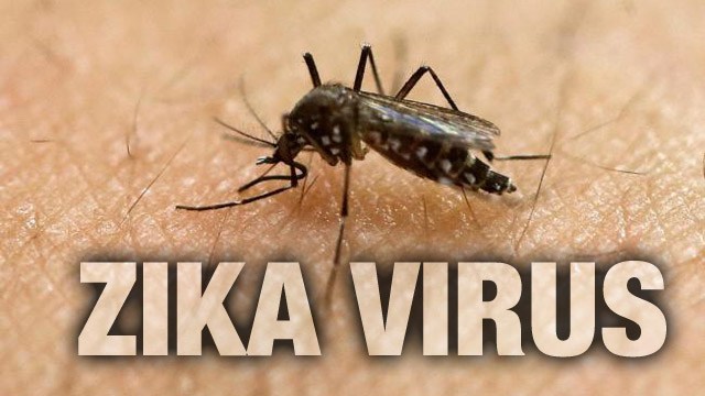 What you need to know about Zika!